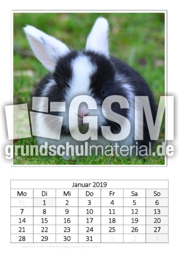 Januar_Kaninchen_2.pdf
